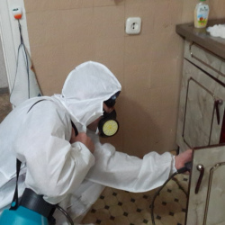 Дезинфекция от муравьев в квартире Беляево метро Москвы