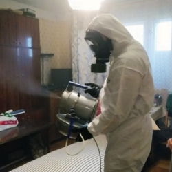 Дезинфекция от клопов Беляево метро Москвы