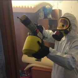 Уничтожение клопов в квартире. Беляево